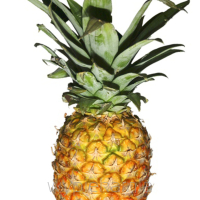 AROMAT SPOŻYWCZY W PROSZKU - ananasowy C - 5gram