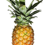 AROMAT SPOŻYWCZY W PROSZKU - ananasowy C - 5gram