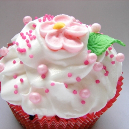 MACZEK CUKIERNICZY RÓŻOWY 18 gram