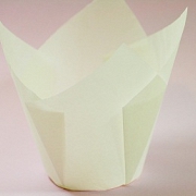 PAPILOTKI TULIPANY BIAŁE 36 sztuk