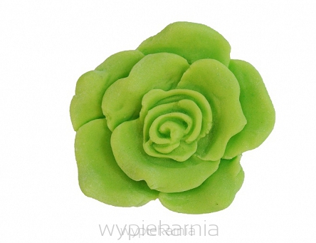 LUKIER PLASTYCZNY PETTINICE ZIELEŃ LIMONKI 100 gram