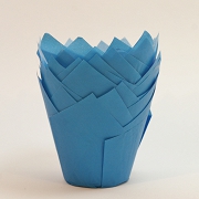 PAPILOTKI TULIPANY NIEBIESKIE 36 sztuk