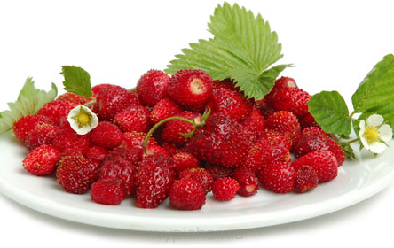 AROMAT SPOŻYWCZY W PROSZKU - poziomkowy 5 gram