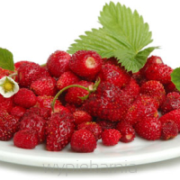 AROMAT SPOŻYWCZY W PROSZKU - poziomkowy 5 gram