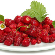 AROMAT SPOŻYWCZY W PROSZKU - poziomkowy 5 gram